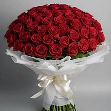 Букет 101 Красная роза Блэк Мэджик в Родниках Ивановской области