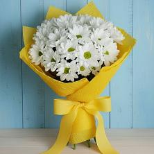 Букет цветов из:  Хризантемы в Родниках Ивановской области