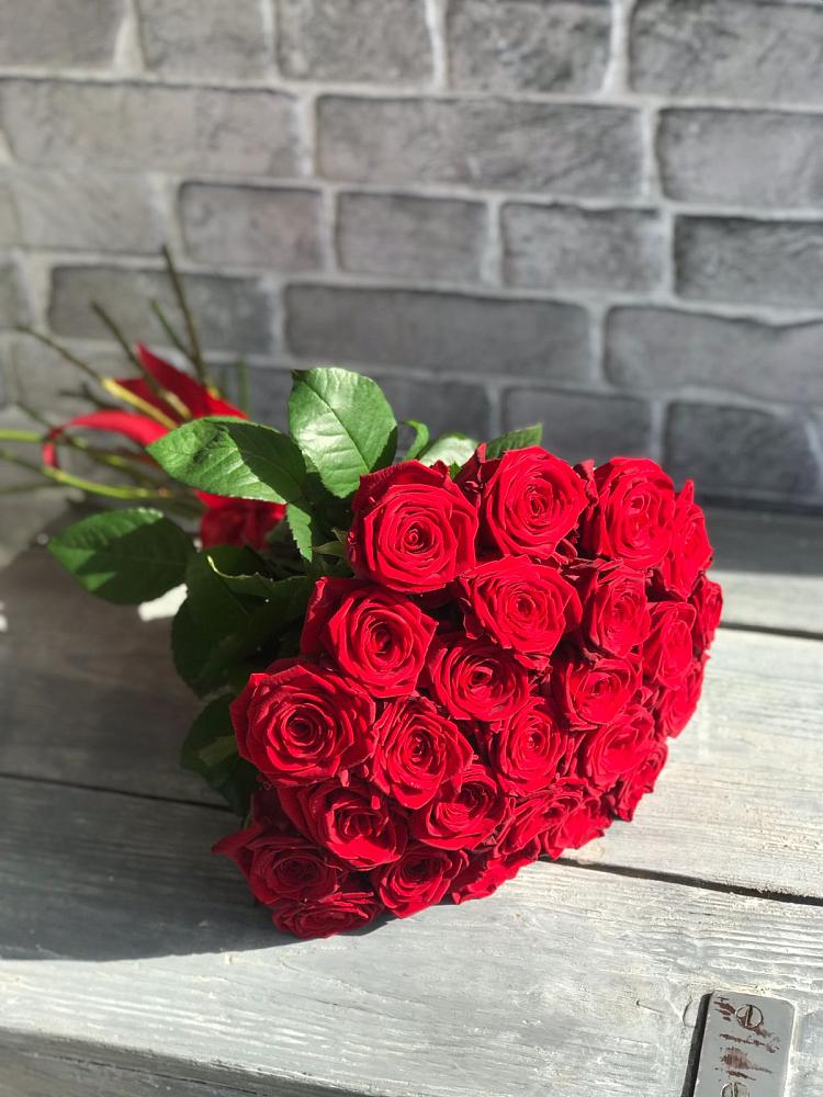 Букет Красные розы Фридом в Родниках Ивановской области
