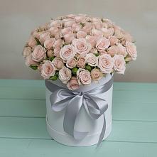 Цветочная композиция из Розы в шляпной коробке в Родниках Ивановской области