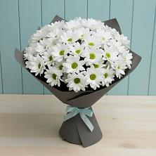 Букет цветов из:  Хризантемы в Родниках Ивановской области