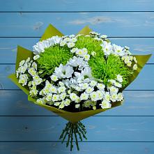 Букет цветов из:  Хризантемы в Родниках Ивановской области