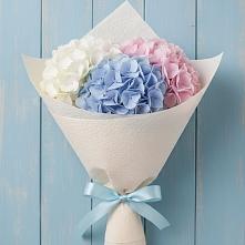 Букет цветов из:  Гортензия в Родниках Ивановской области