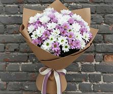 Букет цветов из:  Хризантемы в Родниках Ивановской области