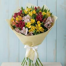 Букет цветов из:  Альстромерии в Родниках Ивановской области