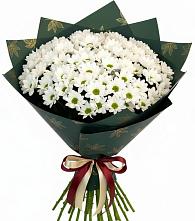 Букет цветов из:  Хризантемы в Родниках Ивановской области