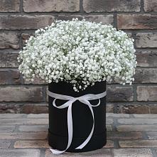 Цветочная композиция из Гипсофила в шляпной коробке #REPLACE_PRED# Родниках Ивановской области