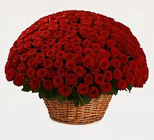 Премиум букет из: Розы в Родниках Ивановской области