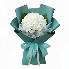 Букет цветов из:  Гортензия в Родниках Ивановской области